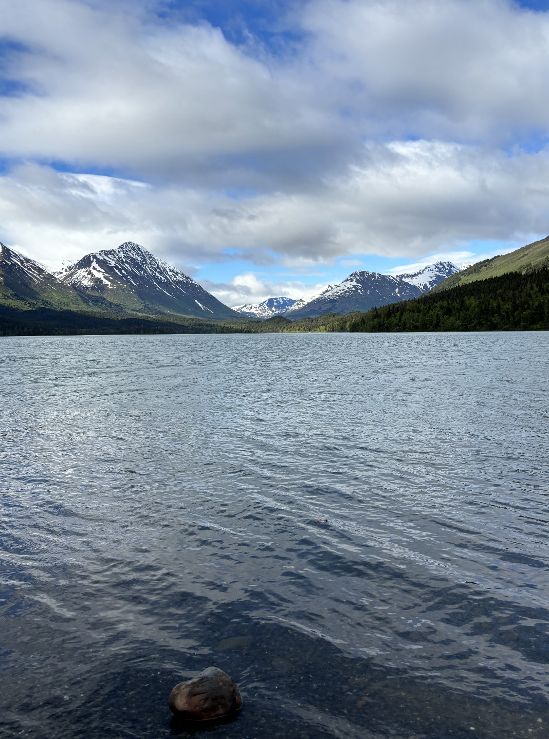 Un viaje de aventuras con paisajes impresionantes, glaciares gigantescos y abundante vida silvestre nativa